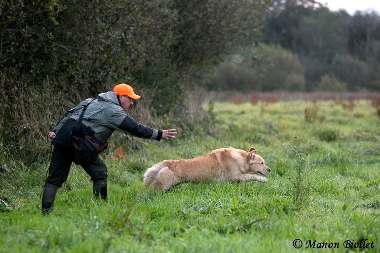 La complicité maître chien développe son enthousiasme