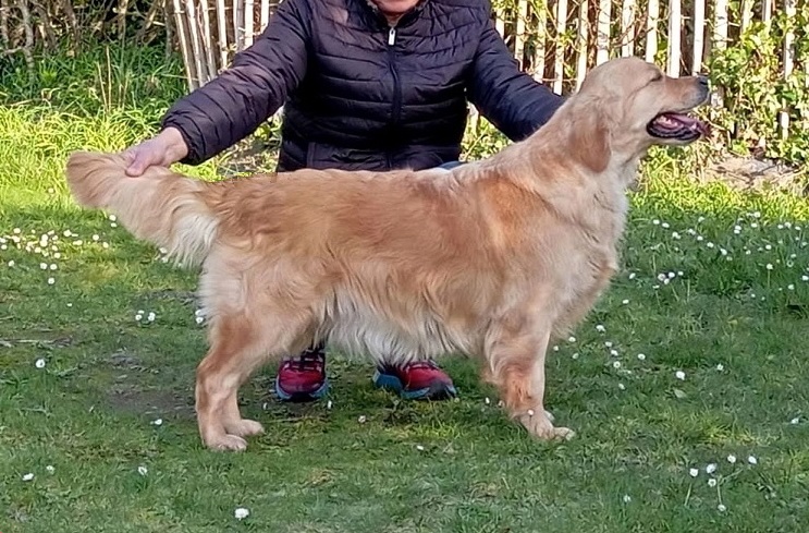 Schuppa